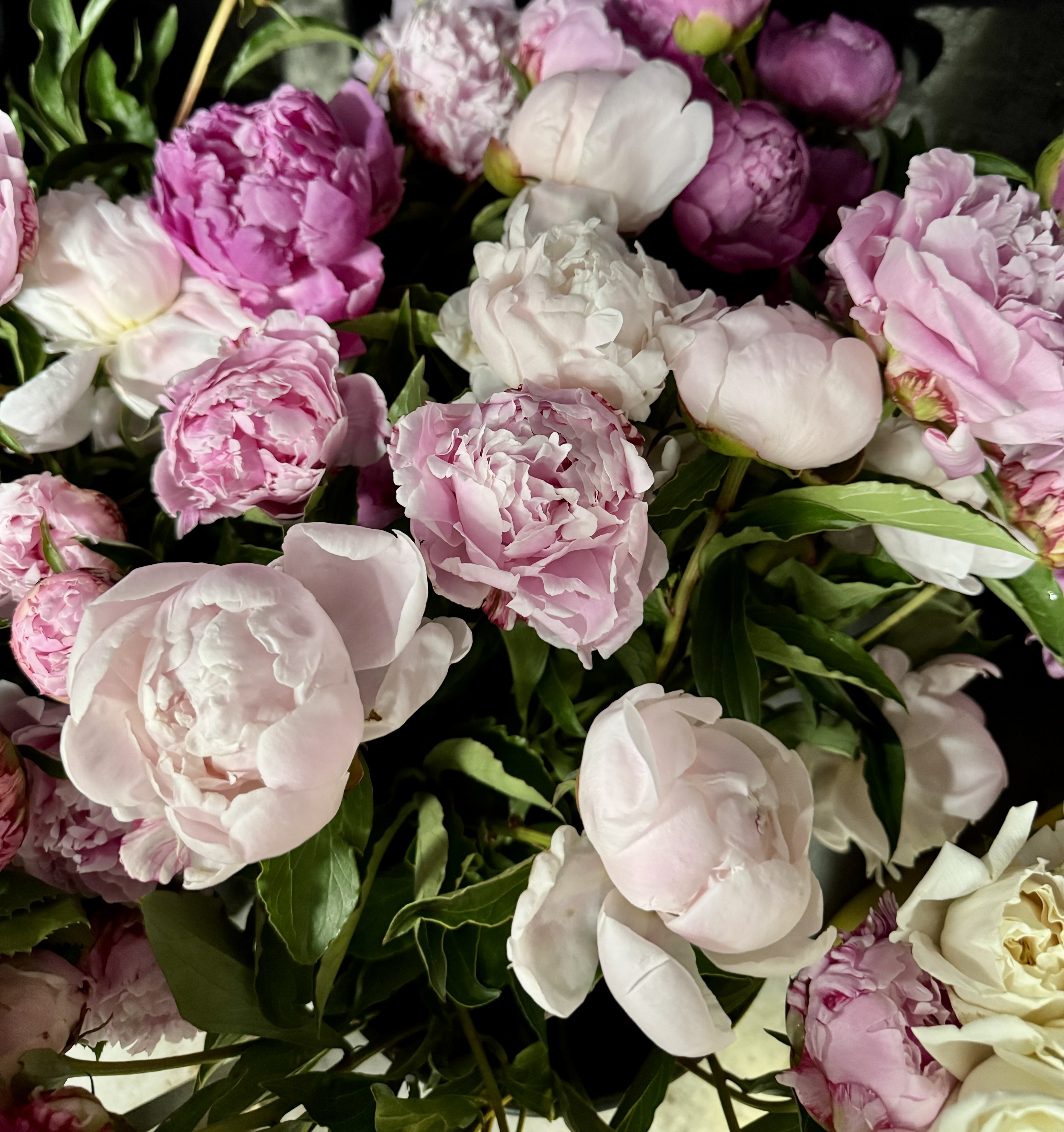 222 Florals × [solidcore] Pop-Up